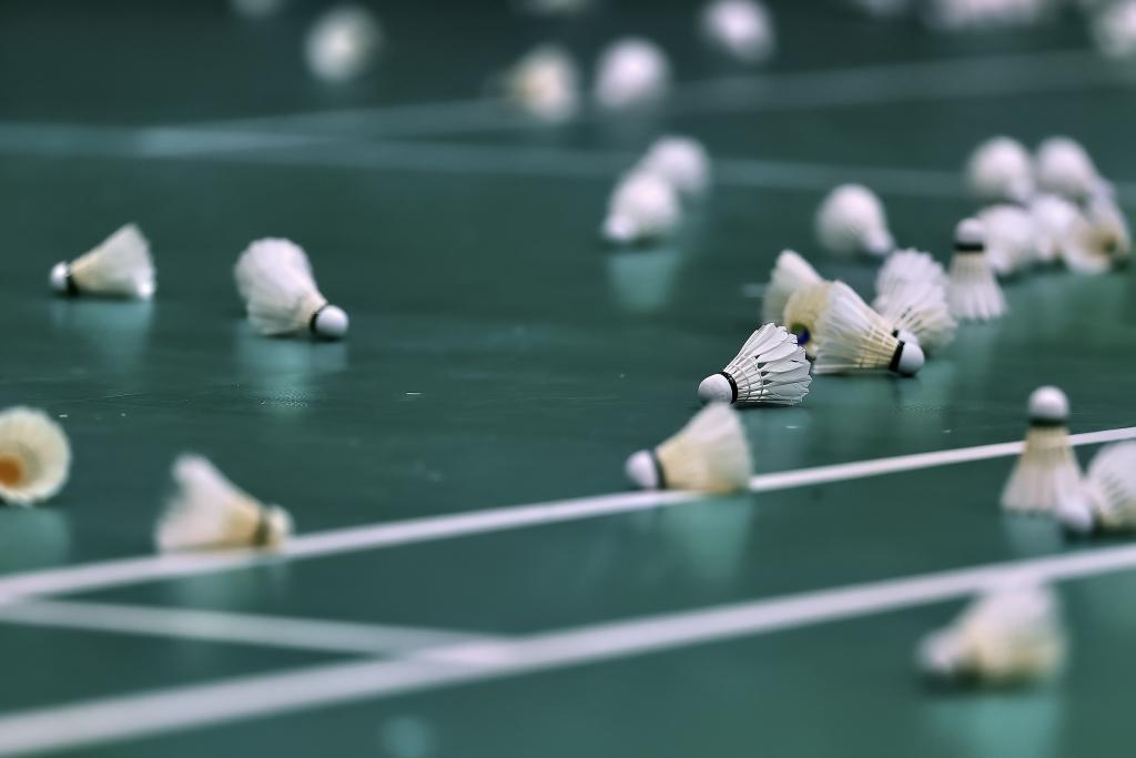 体彩-原料价格回落叠加人造球升级，羽毛球涨价潮终于止步回调